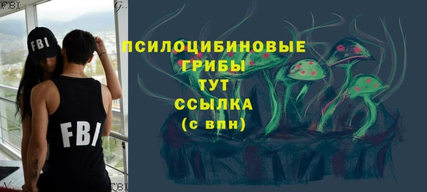 кокс Баксан