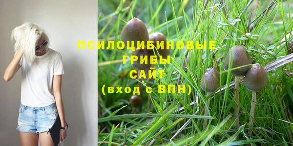 дмт Балабаново