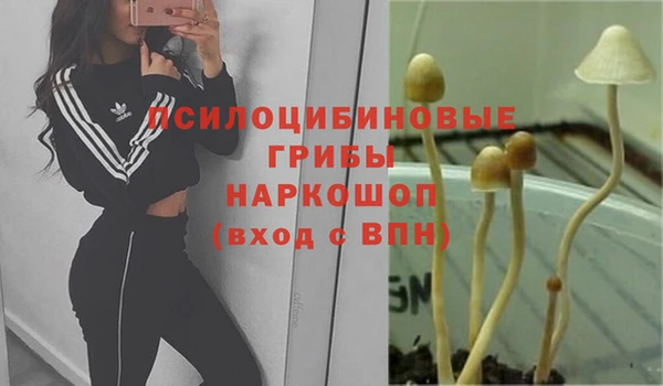 бошки Балахна
