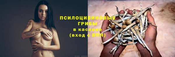 бошки Балахна