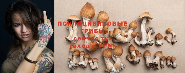 бошки Балахна