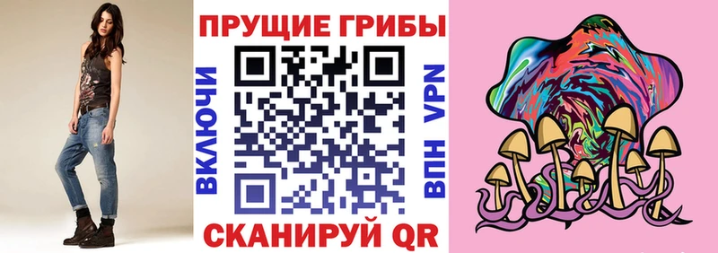 Псилоцибиновые грибы Psilocybine cubensis  Ульяновск 